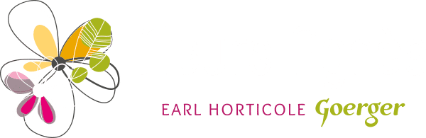 Fleurs Agnès